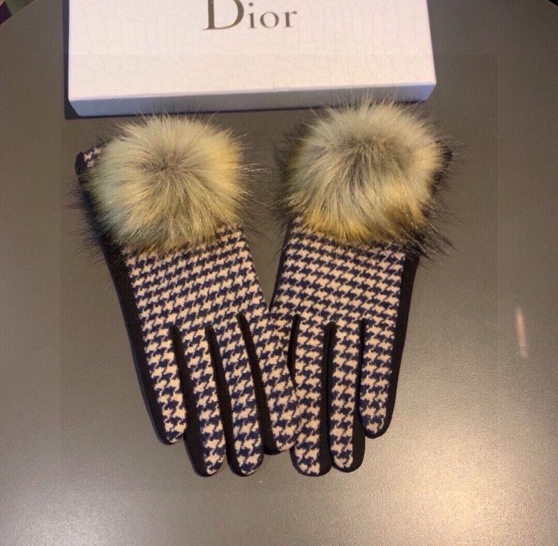 Christian Dior Gloves